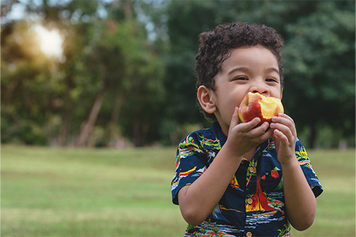 The “Food Mood” Connection