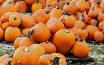 Pumpkin Smoothie