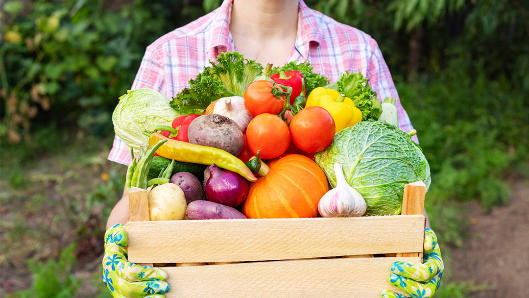 Visit a local farm to pick your own produce!