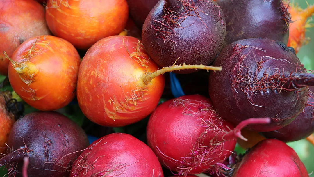 Orange Marinated Beet & Goat Cheese Salad