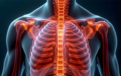 Mobility and Stretching for Chest Wall Tightness