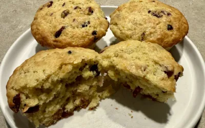 Cranberry Orange Energy Muffins