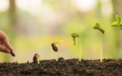 Breathe Strong Into the New Year