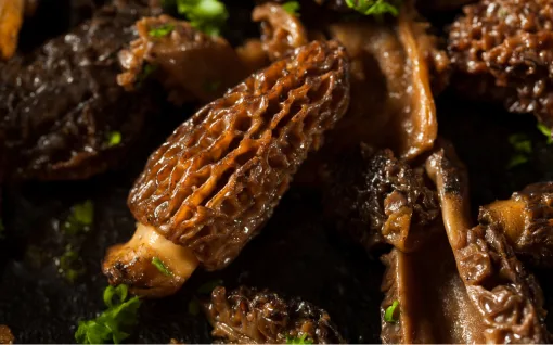 Spice Up Your Life: U.S. Regional Fresh Finds for Spring