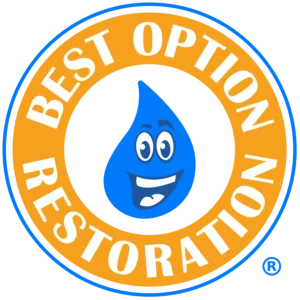 BOR Logo_S