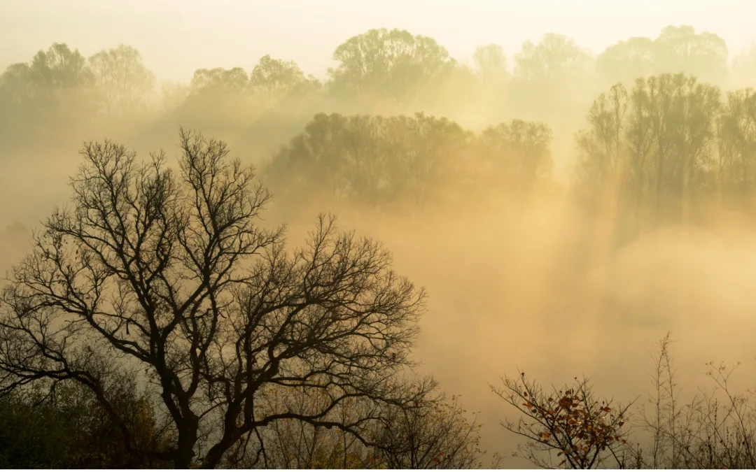 Breath of Meaning – Spiritual Wellness